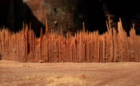 Isolated Wood Log Cut Cross Section Texture Stock Photos
