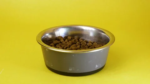 Isolated on yellow background of dry pet food or kibble being added into an dish Stock Footage 127955878