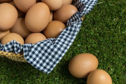 Isolation concept : Two eggs lies separately from the group of eggs. Foto stock