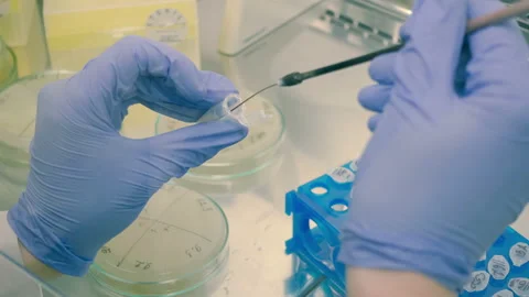 Isolation of DNA. Stock Footage 88200546