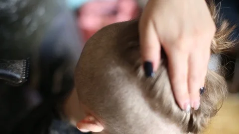 Isolation Life Stock Footage 129873684