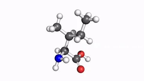 Isoleucine molecule, rotating model Stock Footage 79799679