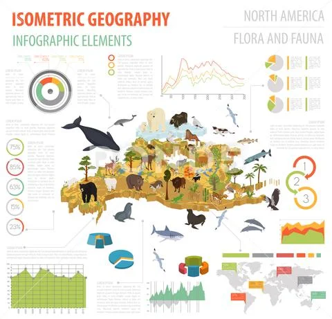 Isometric 3d North America flora and fauna map elements. Animals, birds and s Stock Illustration
