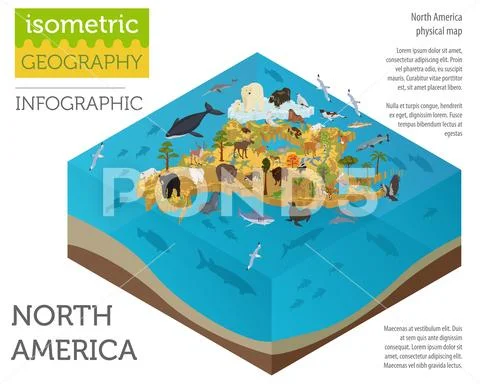 Isometric 3d North America flora and fauna map elements. Animals, birds and s Stock Illustration