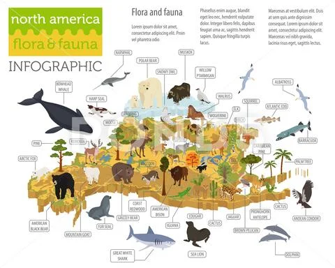 Isometric 3d North America flora and fauna map elements. Animals, birds and s Stock Illustration