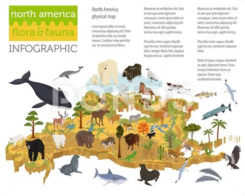Isometric 3d North America flora and fauna map elements. Animals, birds and s Stock Illustration