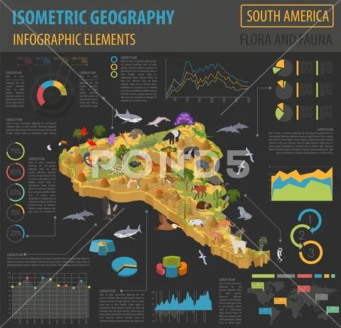 Isometric 3d South America flora and fauna map elements. Animals, birds and s Stock Illustration
