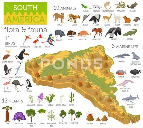 Isometric 3d South America flora and fauna map elements. Animals, birds and s Stock Illustration