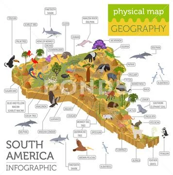 Isometric 3d South America flora and fauna map elements. Animals, birds and s Stock Illustration