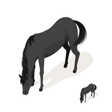 Isometric 3d vector  black horse Stock Illustration