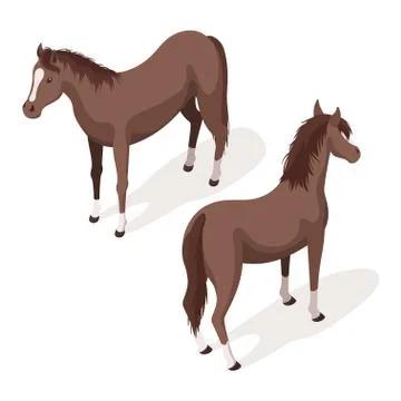 Isometric 3d vector illustration of brown sorrel horses. Stock Illustration