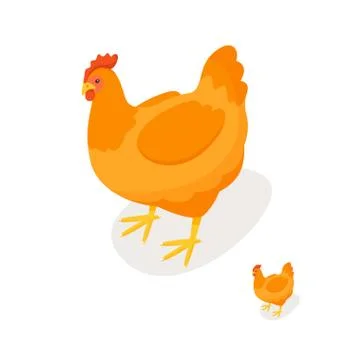Isometric 3d vector illustration of chicken. Stock Illustration