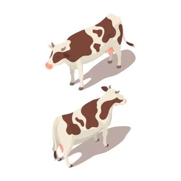 Isometric 3d vector illustration of cow Stock Illustration
