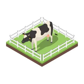 Isometric 3d vector illustration of cow. Stock Illustration