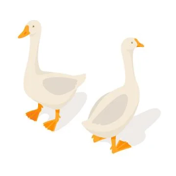 Isometric 3d vector illustration of farm goose Stock Illustration