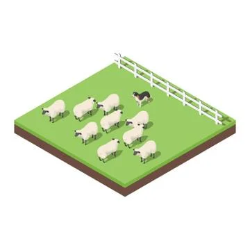 Isometric 3d vector illustration of farm animals Stock Illustration
