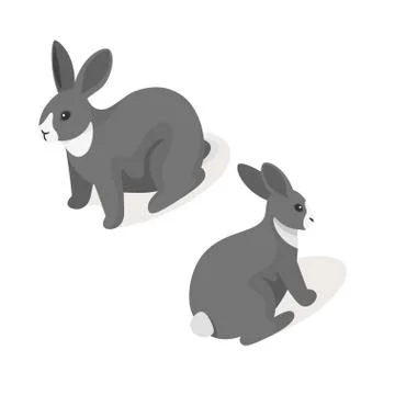 Isometric 3d vector illustration of grey rabbit Stock Illustration