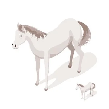 Isometric 3d vector illustration of horse Stock Illustration