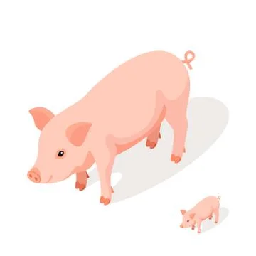 Isometric 3d vector illustration of pink pig Stock Illustration
