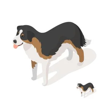 Isometric 3d vector illustration of sheep dog Stock Illustration