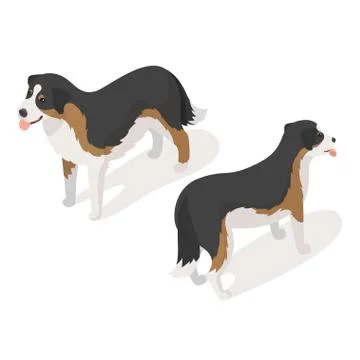 Isometric 3d vector illustration of sheep dog Stock Illustration