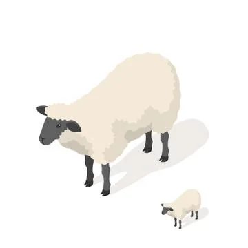 Isometric 3d vector illustration of sheep Stock Illustration