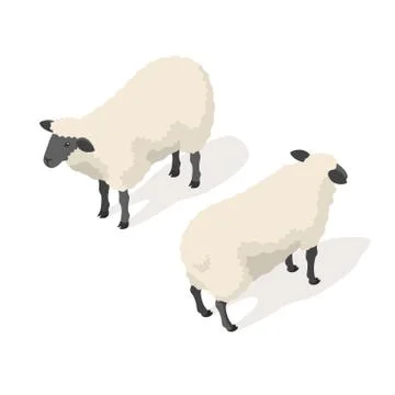 Isometric 3d vector illustration of sheep Illustrazione stock