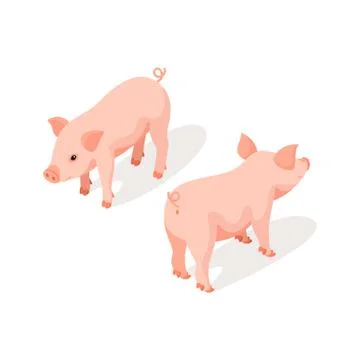 Isometric 3d vector illustration of small pink cute pig Stock Illustration