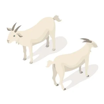 Isometric 3d vector illustration of white goat. Stock Illustration