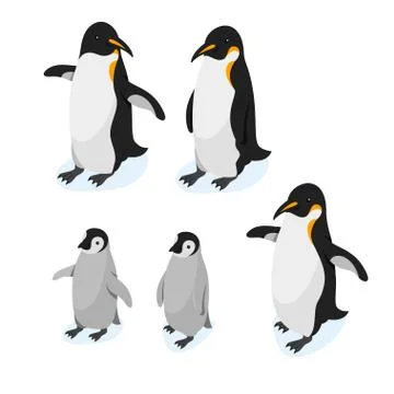 Isometric 3d vector realistic style set of penguins. Stock Illustration