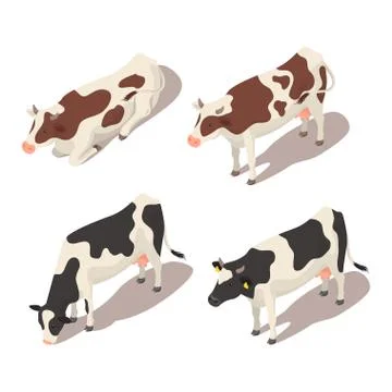 Isometric 3d vector set of cows. Stock Illustration