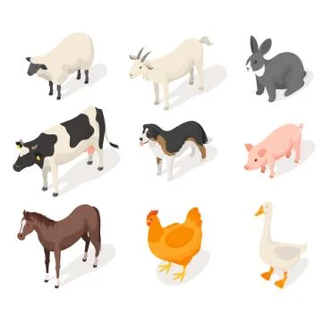 Isometric 3d vector set of farm animals. Stock Illustration