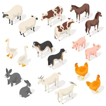 Isometric 3d vector set of farm animals Stock Illustration