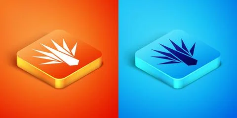 Isometric Agave icon isolated on orange and blue background. Traditional Me.. Stock Illustration