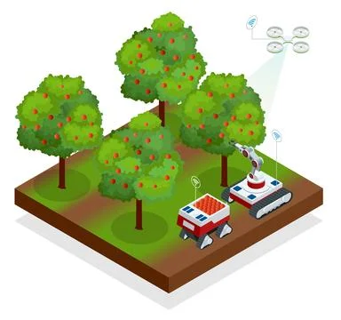 Isometric automatic guided robots harvest fruit from trees. Agricultural Illustrazione stock