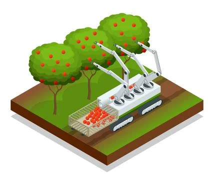 Isometric automatic guided robots harvest fruit from trees. Agricultural Stock Illustration