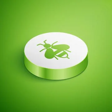 Isometric Bee icon isolated on green background. Sweet natural food. Honeybee or Stock Illustration