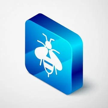 Isometric Bee icon isolated on grey background. Sweet natural food. Honeybee or 스톡 일러스트