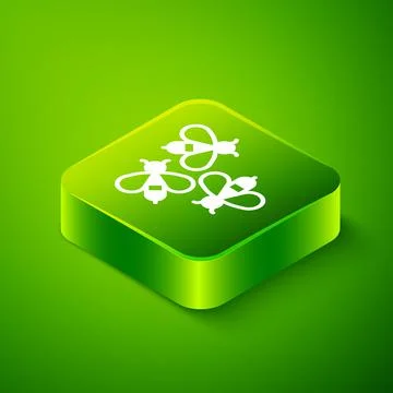 Isometric Bees icon isolated on green background. Sweet natural food. Honeybee Stock Illustration