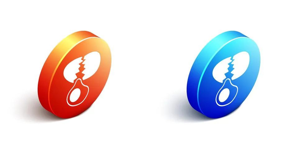 Isometric Broken egg icon isolated on white background. Happy Easter. Orange and Stock Illustration