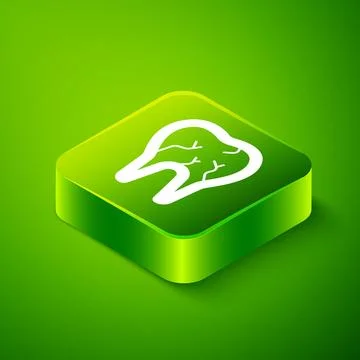Isometric Broken tooth icon isolated on green background. Dental problem icon Stock Illustration