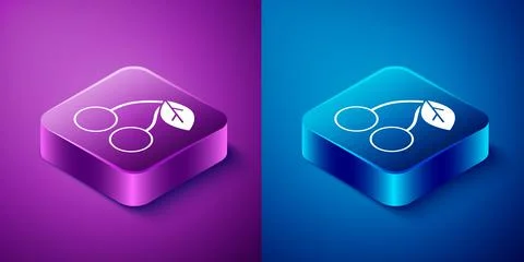 Isometric Cherry icon isolated on blue and purple background. Fruit with leaf Stock Illustration