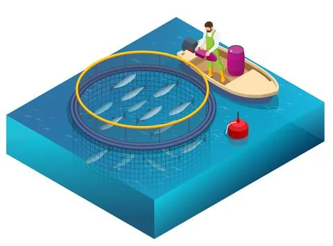 Isometric Fish Farm. Producing Trout and Salmon, Carp, Tilapia, and Catfish Stock Illustration
