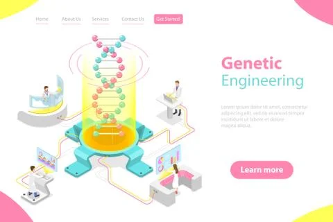 Isometric flat vector concept of genetic engineering, DNA structure changing. Stock Illustration