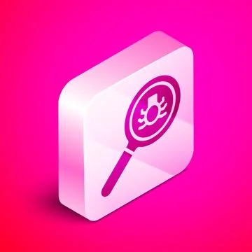 Isometric Flea search icon isolated on pink background. Silver square button イラスト素材