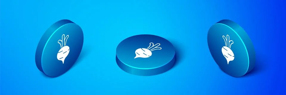 Isometric Fresh beet with leaf icon isolated on blue background. Natural Root Stock Illustration