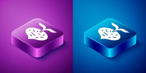 Isometric Fresh beet with leaf icon isolated on blue and purple background Illustrazione stock