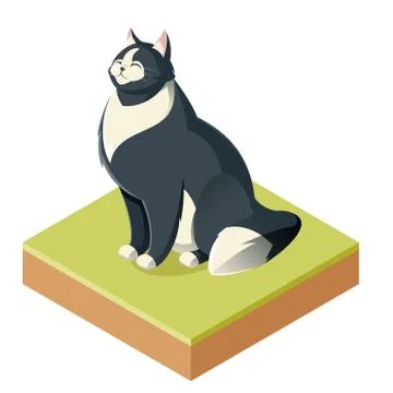 Isometric furry cat Illustrazione stock