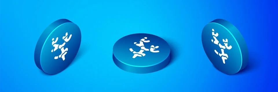 Isometric Ginger root icon isolated on blue background. Blue circle button Stock Illustration