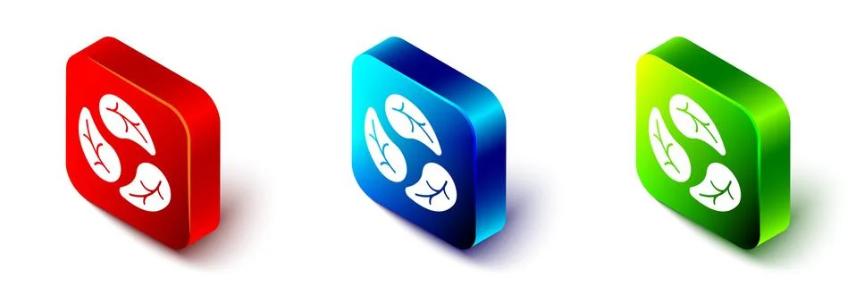 Isometric Leaf icon isolated Isometric background. Leaves sign. Fresh natural Stock Illustration